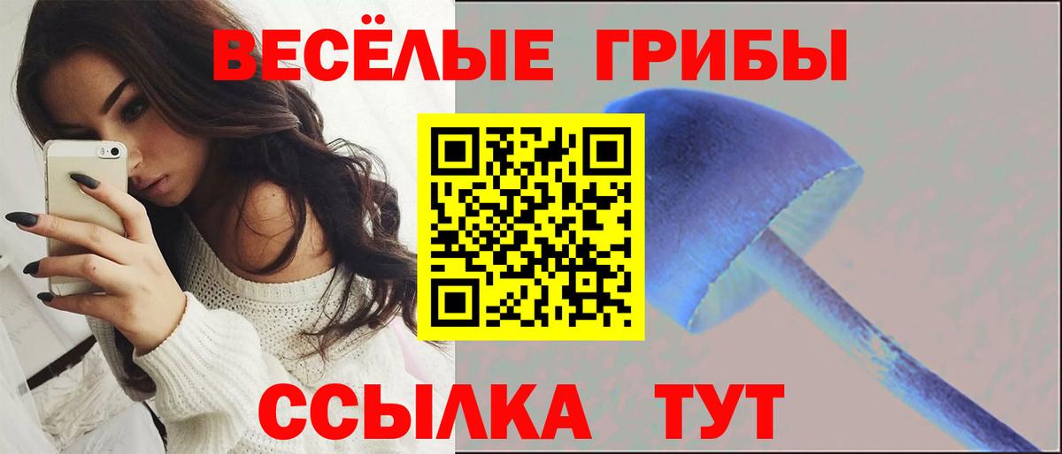Псилоцибиновые грибы ЛСД  Вход с VPN  сколько стоит  Миллерово 